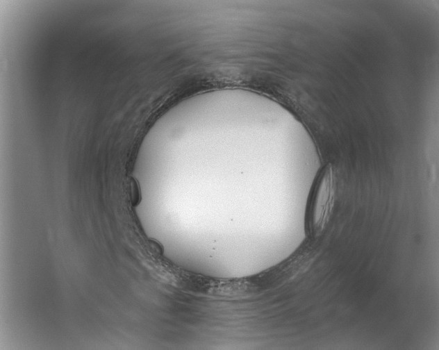 X0000062861201200601271521