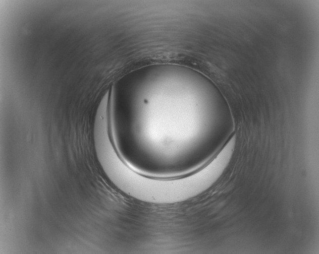 X0000062861202200601271521