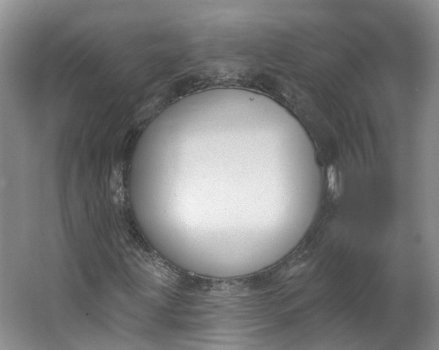 X0000062861203200601271521