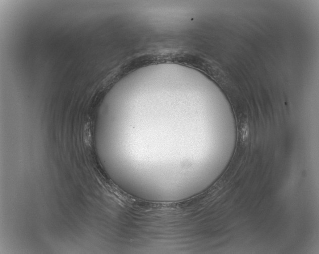 X0000062861204200601271521