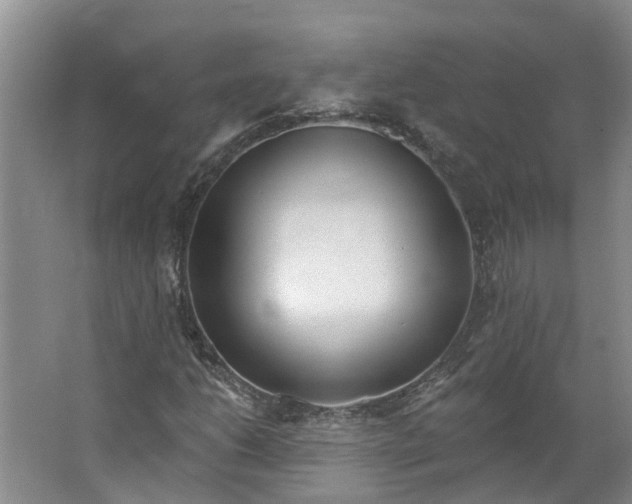 X0000062861206200601271521