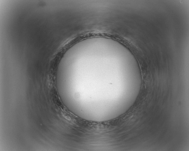 X0000062861207200601271521