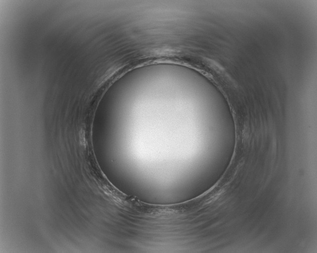 X0000062861209200601271521