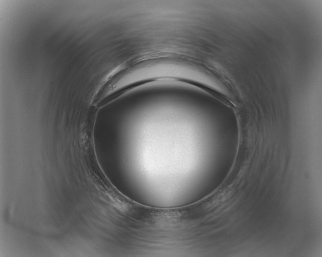 X0000062861210200601271521