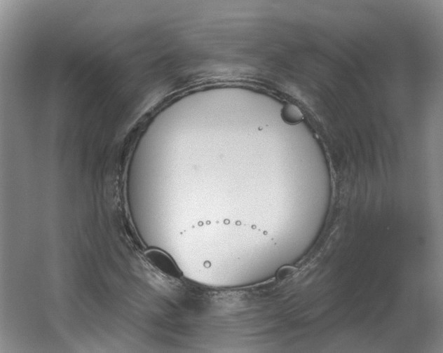 X0000062861211200601271521