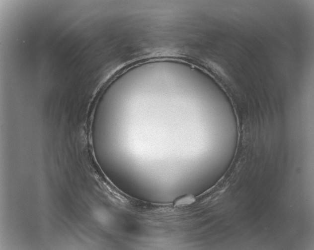 X0000062861212200601271521