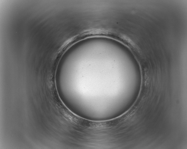 X0000062861213200601271521