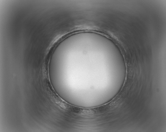 X0000062861215200601271521