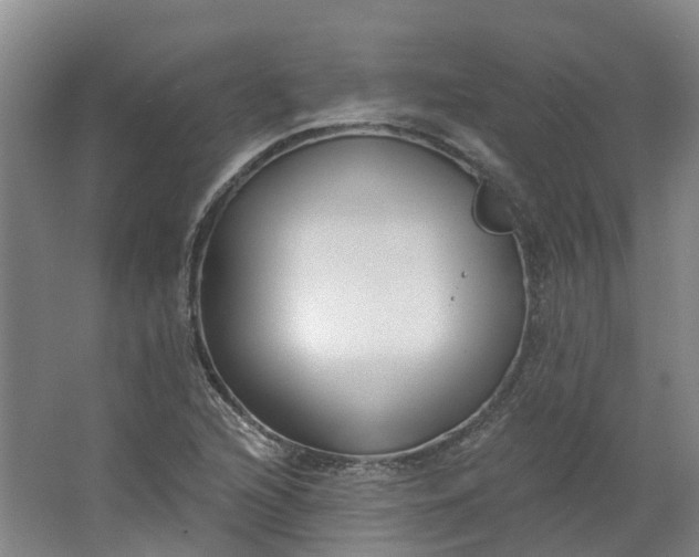 X0000062861216200601271521