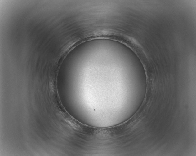 X0000062861217200601271521