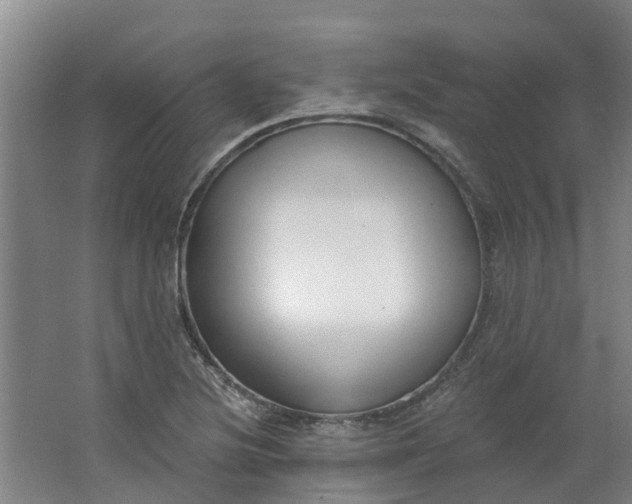 X0000062861220200601271521