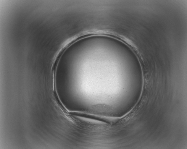 X0000062861223200601271521