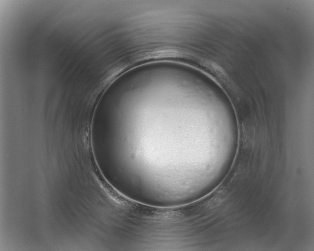 X0000062861225200601271521