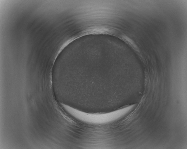 X0000062861226200601271521