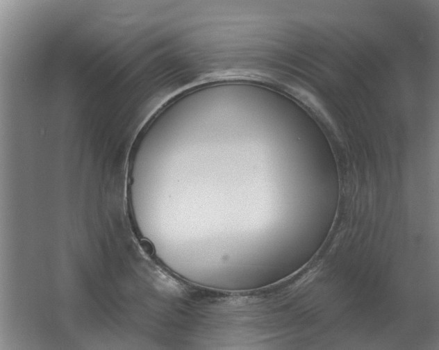 X0000062861228200601271521