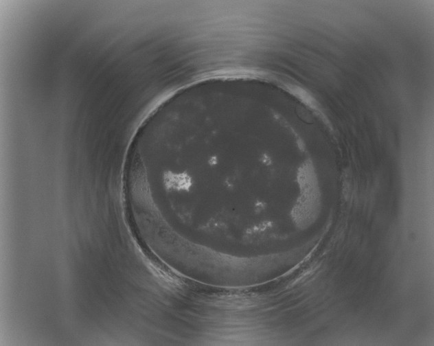 X0000062861229200601271521