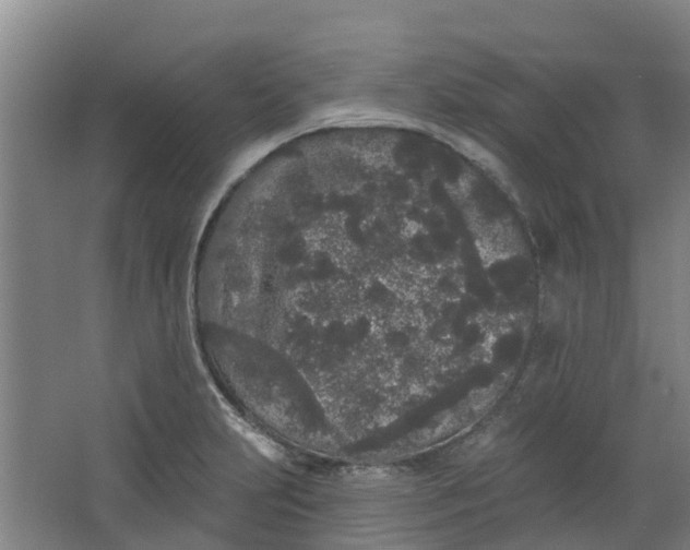 X0000062861231200601271521