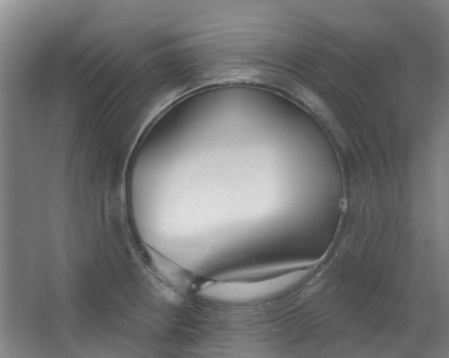 X0000062861234200601271521