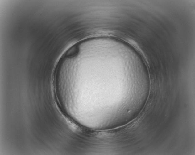 X0000062861235200601271521