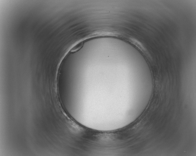 X0000062861236200601271522