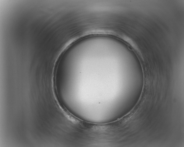 X0000062861237200601271522