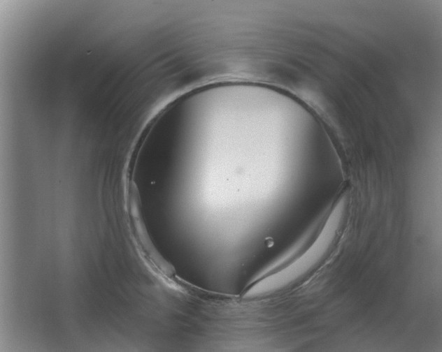 X0000062861238200601271522