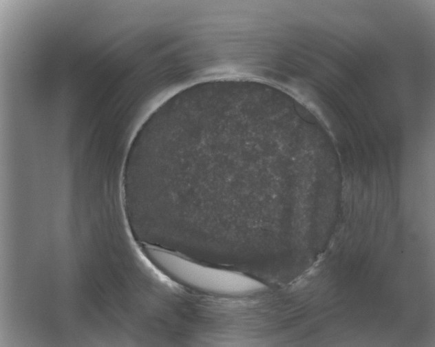 X0000062861239200601271522