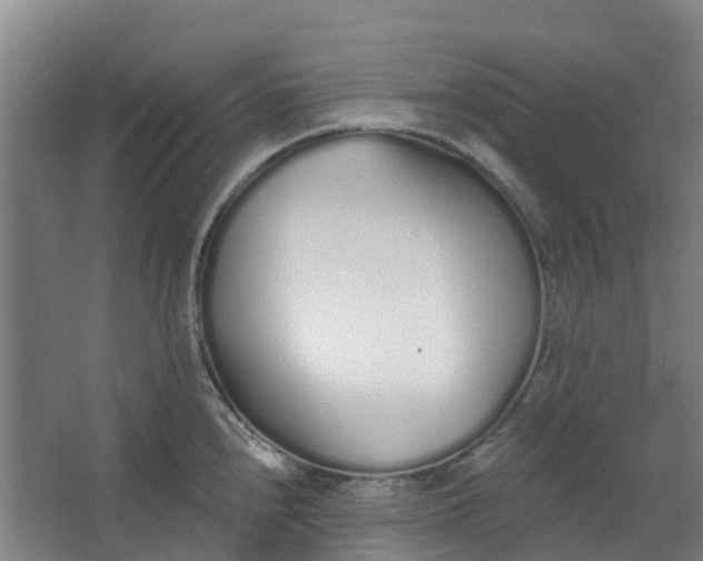 X0000062861240200601271522