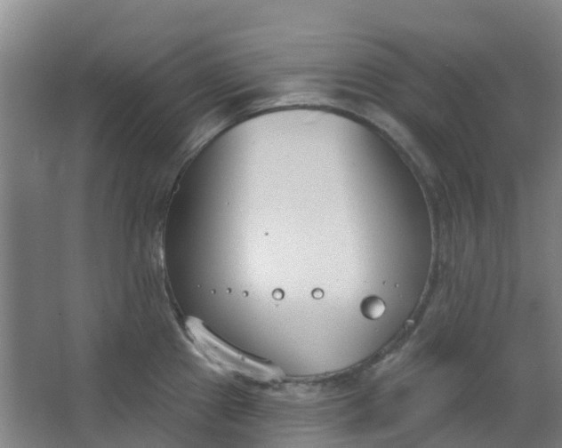 X0000062861241200601271522