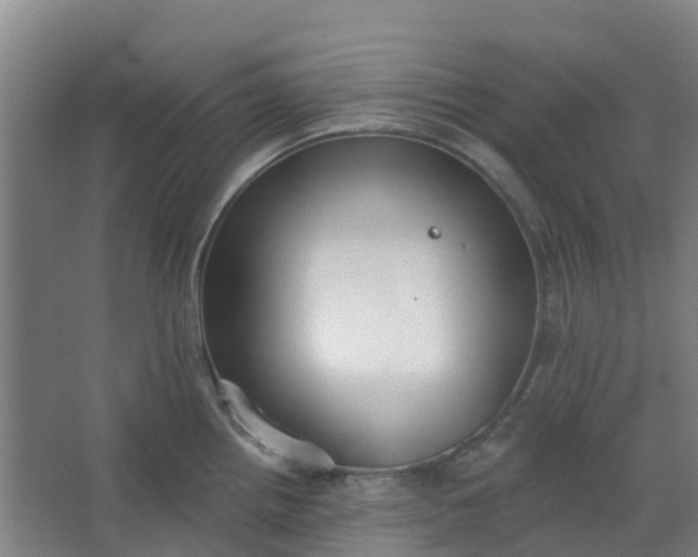 X0000062861242200601271522