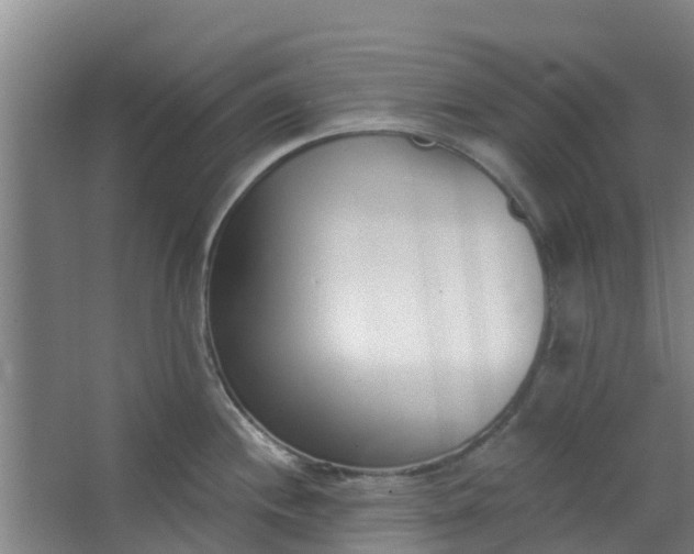 X0000062861244200601271522