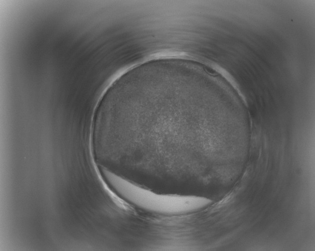 X0000062861245200601271522