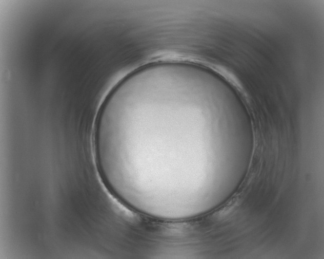 X0000062861247200601271522