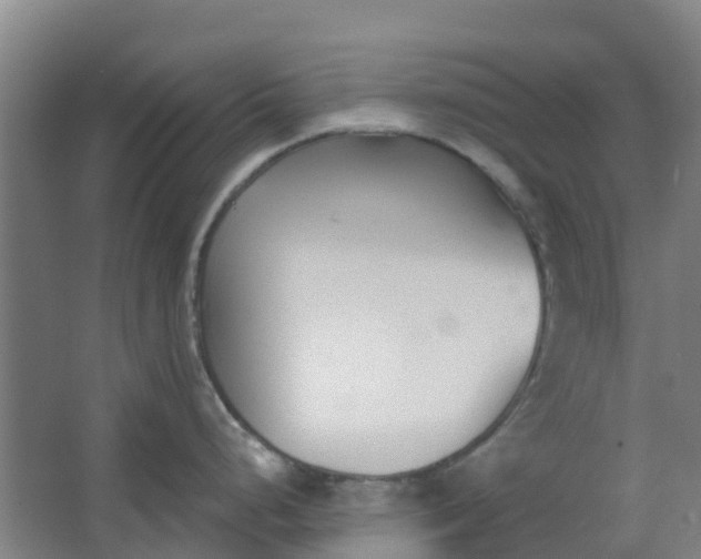 X0000062861248200601271522