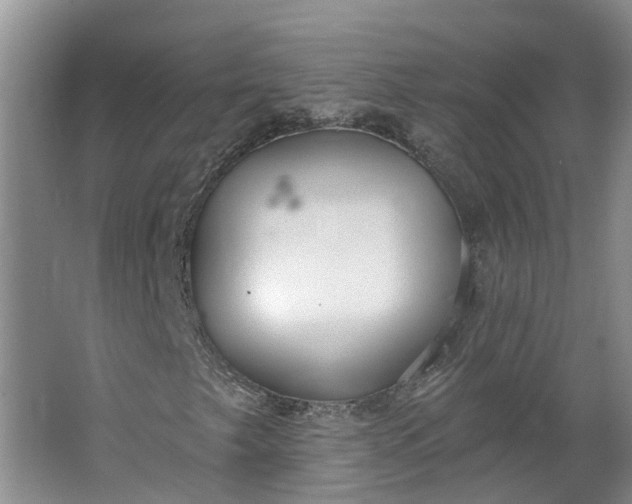 X0000062861249200601271521