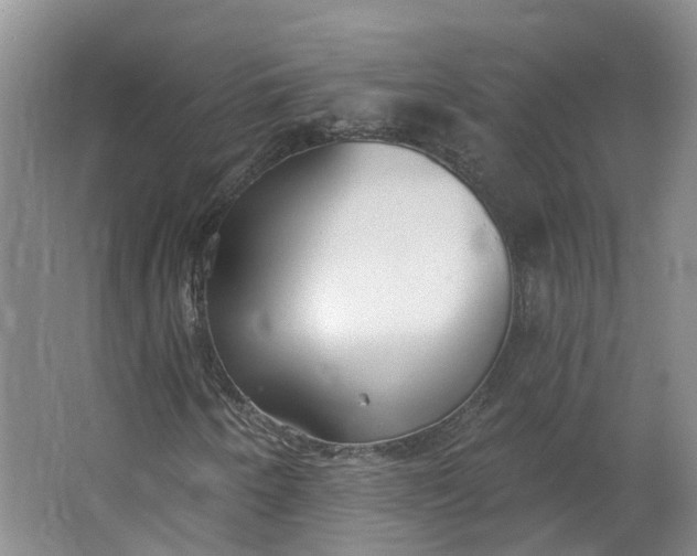 X0000062861250200601271521