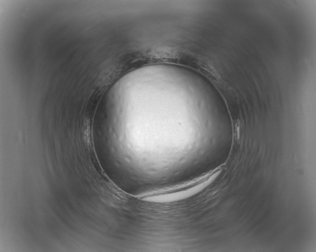 X0000062861251200601271521