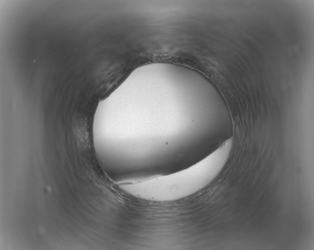 X0000062861252200601271521