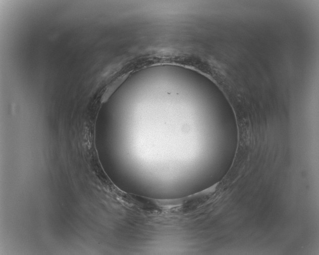 X0000062861253200601271521