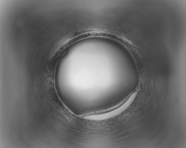 X0000062861255200601271521