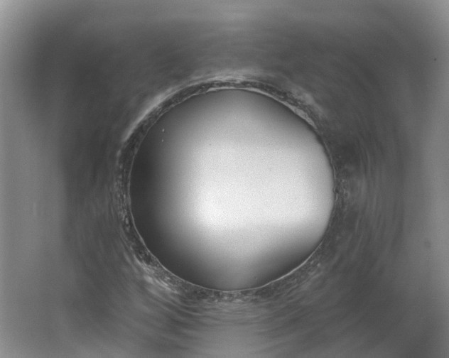 X0000062861256200601271521