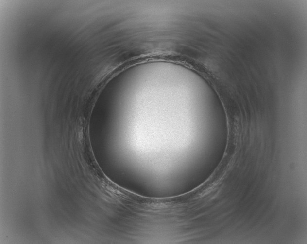 X0000062861257200601271521