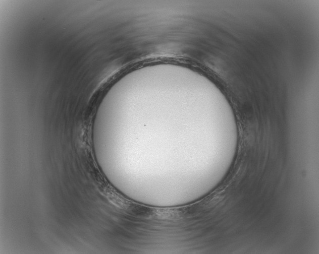 X0000062861258200601271521