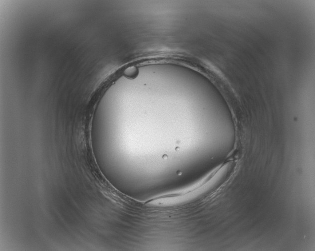 X0000062861259200601271521