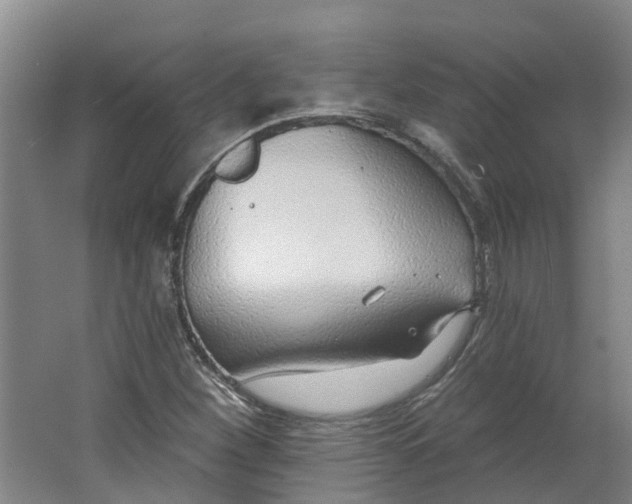 X0000062861260200601271521