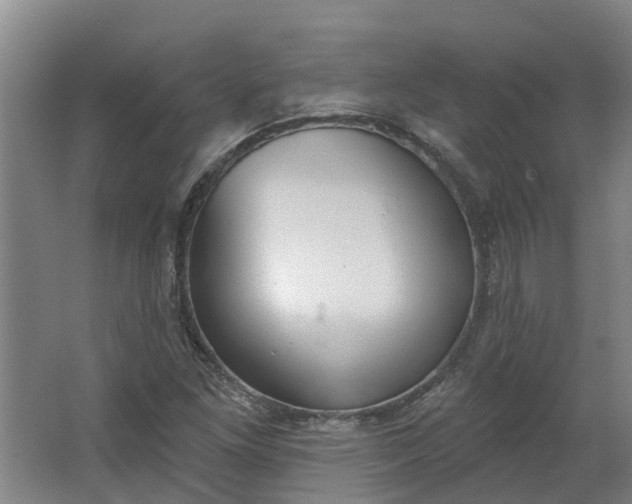 X0000062861261200601271521