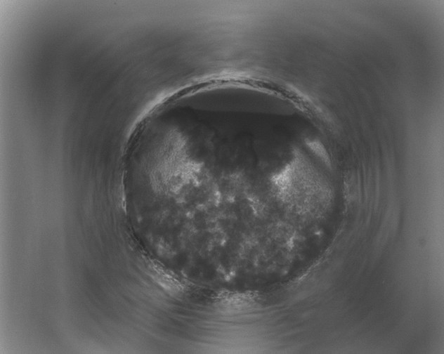 X0000062861262200601271521