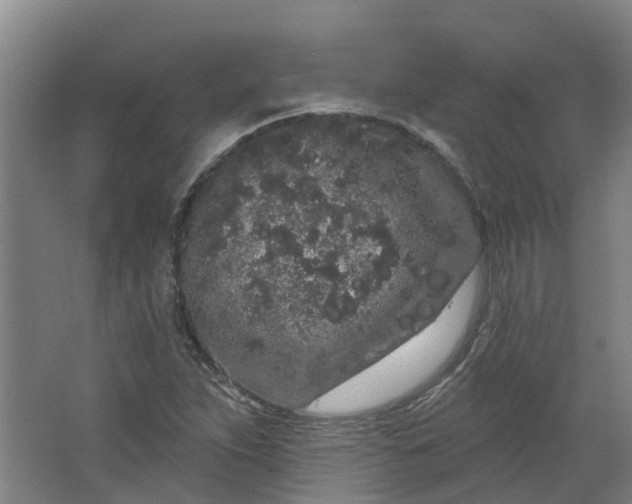 X0000062861263200601271521