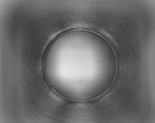 X0000062861264200601271521