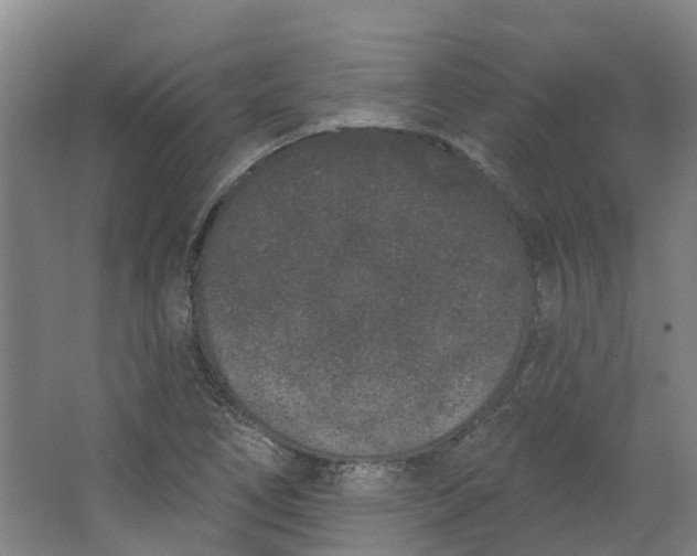 X0000062861266200601271521